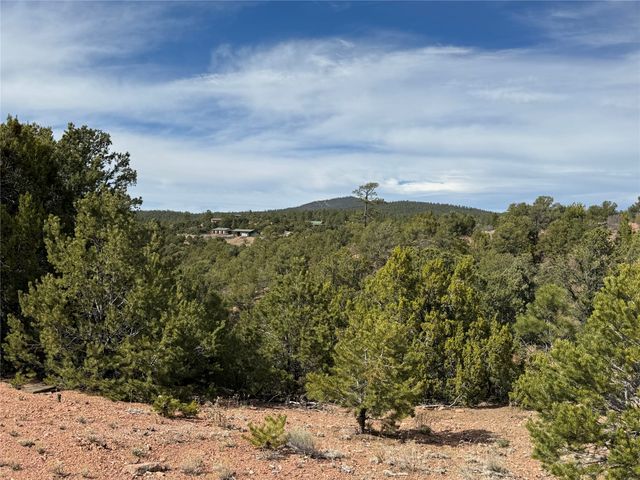 29 Sendero Alto, Santa Fe, NM 87505