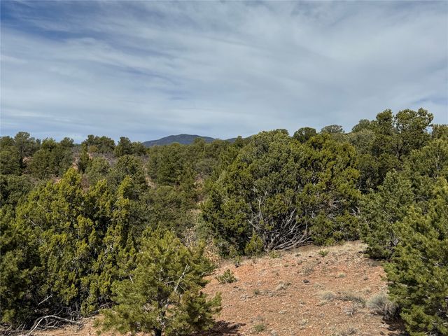 29 Sendero Alto, Santa Fe, NM 87505