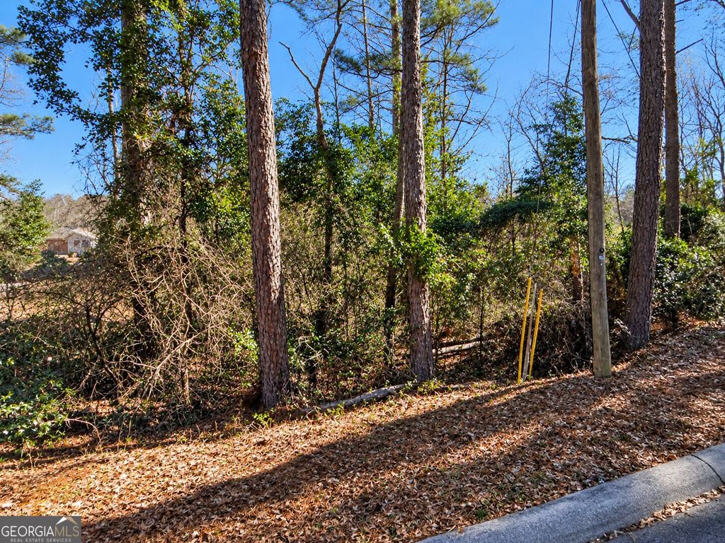 0 Springwood Northwest Drive, Conyers, GA 30012 — photo 2