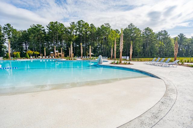720 Blue Mistflower Drive, Moncks Corner, SC 29461