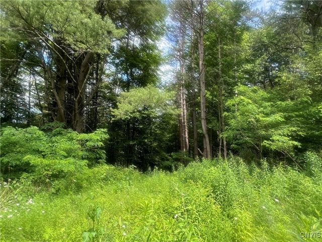 2872 West River Road, Virgil, NY 13045