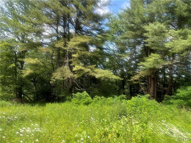 2872 West River Road, Virgil, NY 13045