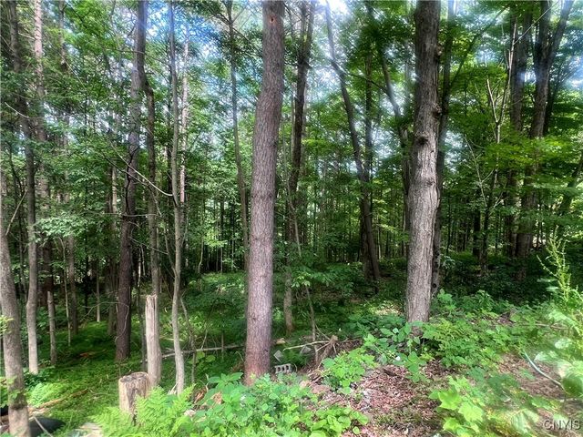 2872 West River Road, Virgil, NY 13045