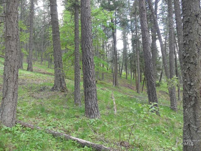 22743 Old Melrose Grade, Peck, ID 83545