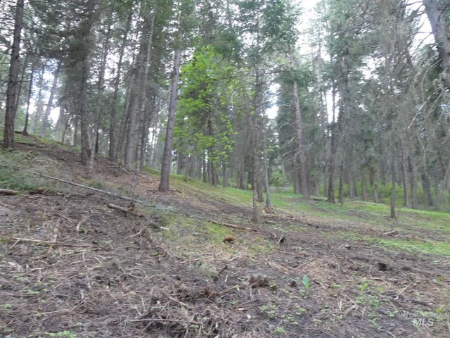 22743 Old Melrose Grade, Peck, ID 83545