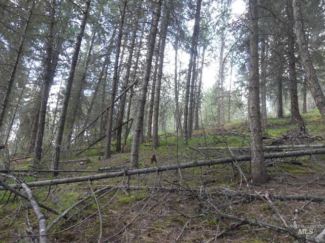 22743 Old Melrose Grade, Peck, ID 83545