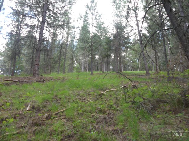 22743 Old Melrose Grade, Peck, ID 83545