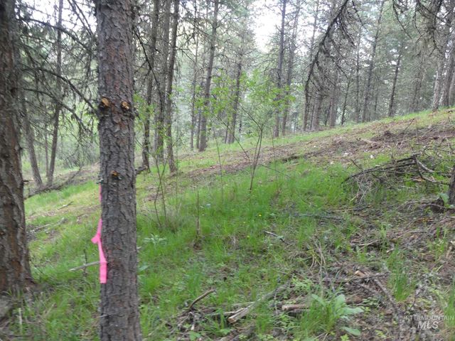 22743 Old Melrose Grade, Peck, ID 83545