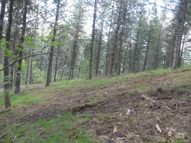 22743 Old Melrose Grade, Peck, ID 83545