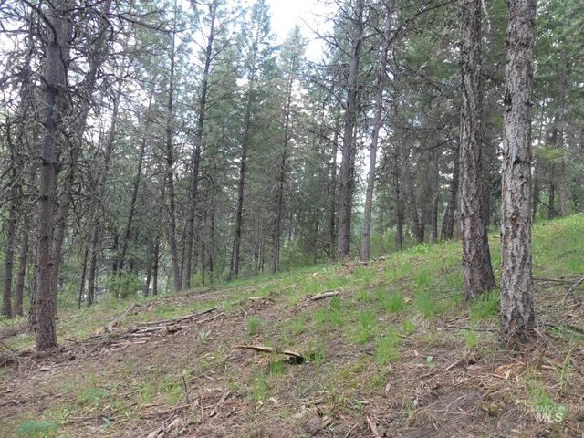 22743 Old Melrose Grade, Peck, ID 83545