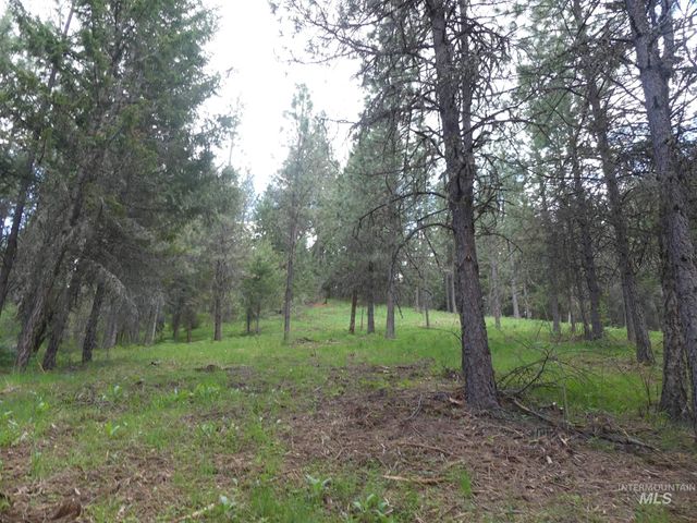 22743 Old Melrose Grade, Peck, ID 83545