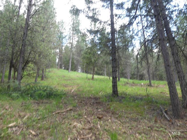22743 Old Melrose Grade, Peck, ID 83545