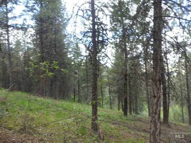 22743 Old Melrose Grade, Peck, ID 83545