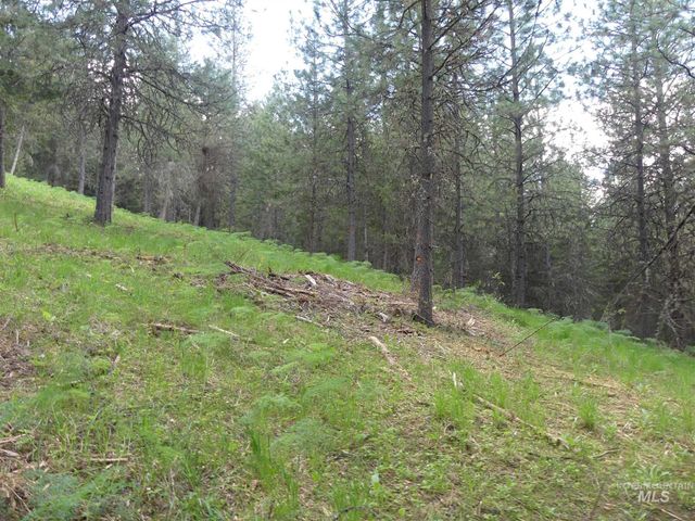 22743 Old Melrose Grade, Peck, ID 83545
