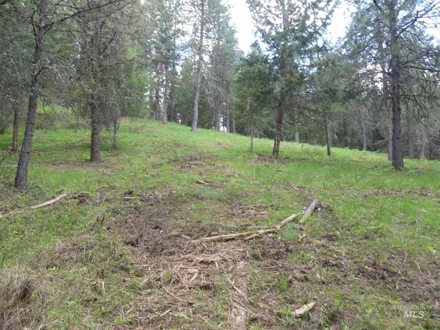 22743 Old Melrose Grade, Peck, ID 83545