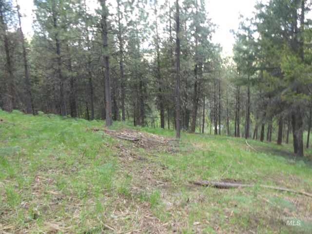22743 Old Melrose Grade, Peck, ID 83545