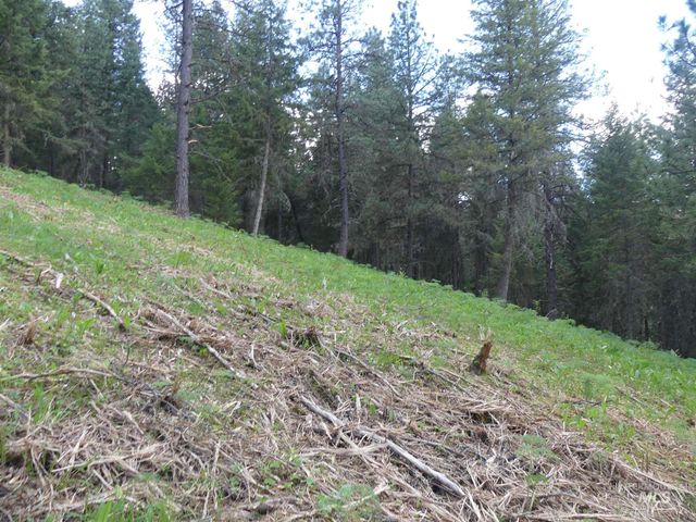 22743 Old Melrose Grade, Peck, ID 83545