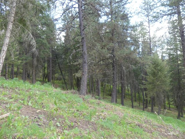 22743 Old Melrose Grade, Peck, ID 83545