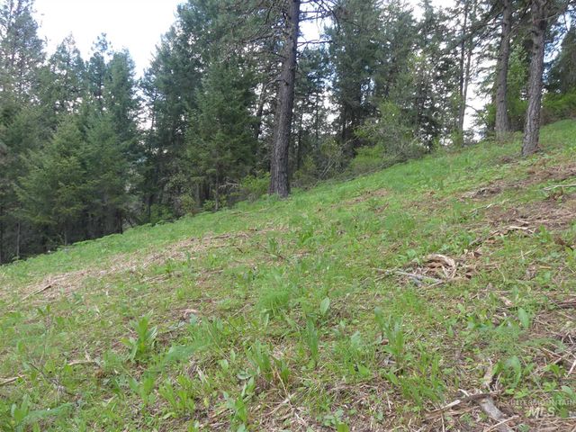 22743 Old Melrose Grade, Peck, ID 83545