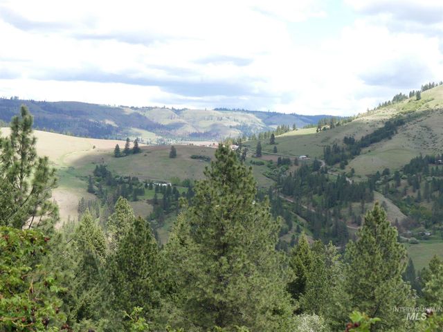 22743 Old Melrose Grade, Peck, ID 83545
