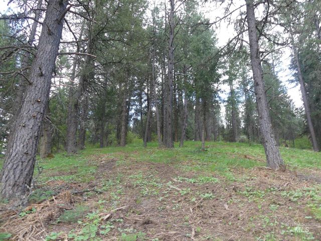 22743 Old Melrose Grade, Peck, ID 83545