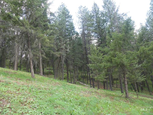 22743 Old Melrose Grade, Peck, ID 83545