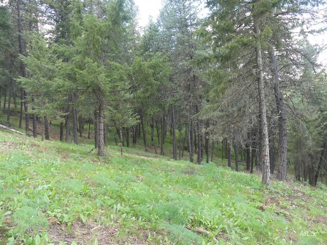 22743 Old Melrose Grade, Peck, ID 83545