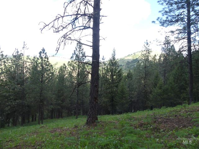 22743 Old Melrose Grade, Peck, ID 83545