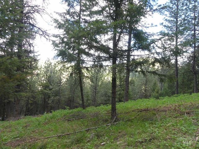 22743 Old Melrose Grade, Peck, ID 83545