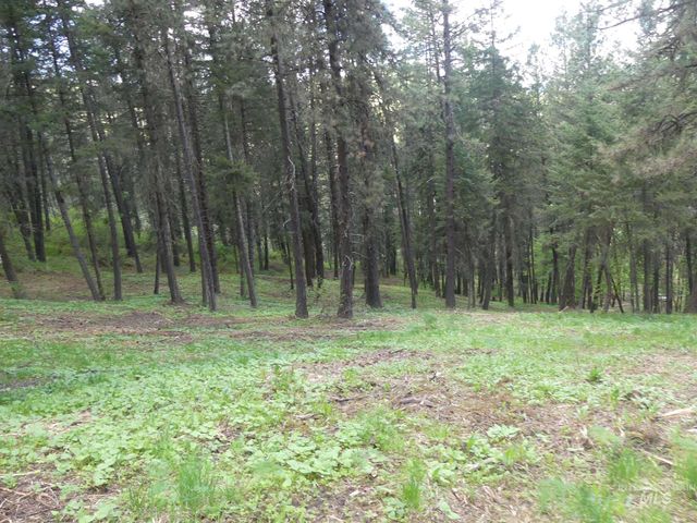 22743 Old Melrose Grade, Peck, ID 83545