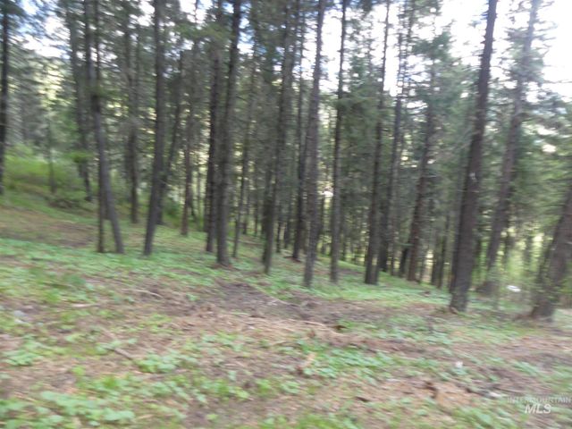 22743 Old Melrose Grade, Peck, ID 83545