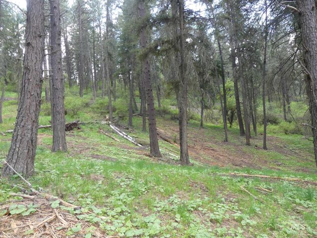 22743 Old Melrose Grade, Peck, ID 83545
