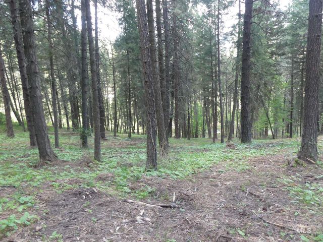 22743 Old Melrose Grade, Peck, ID 83545