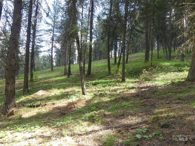 22743 Old Melrose Grade, Peck, ID 83545