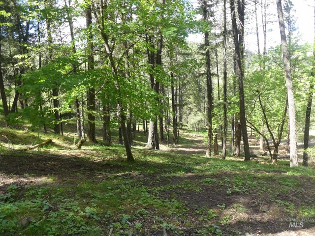 22743 Old Melrose Grade, Peck, ID 83545