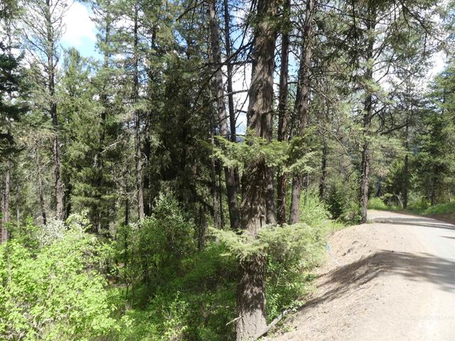 22743 Old Melrose Grade, Peck, ID 83545