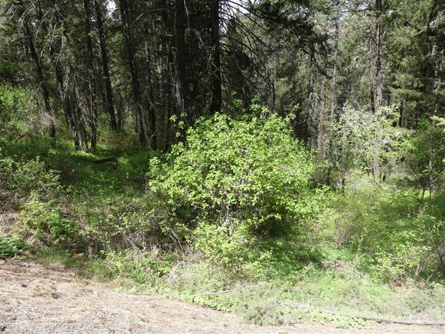22743 Old Melrose Grade, Peck, ID 83545