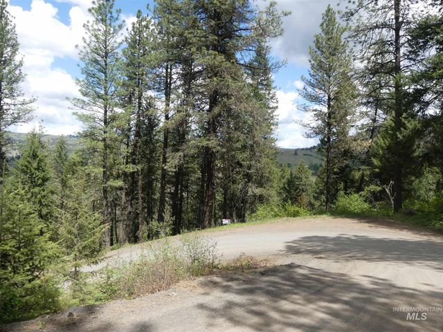 22743 Old Melrose Grade, Peck, ID 83545
