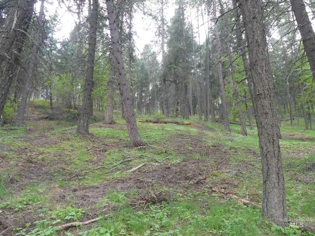 22743 Old Melrose Grade, Peck, ID 83545
