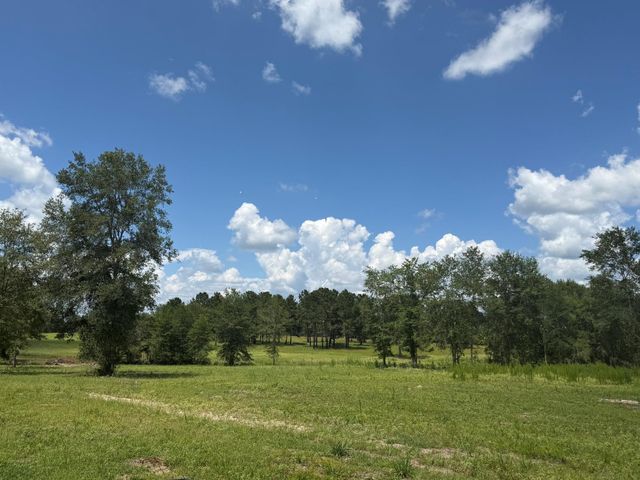 TBD N County Road 4050, Lovelady, TX 75851
