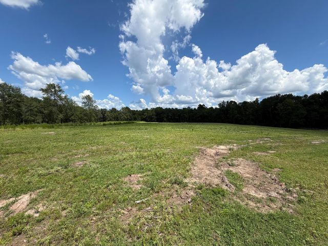 TBD N County Road 4050, Lovelady, TX 75851