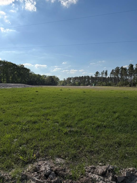 TBD N County Road 4050, Lovelady, TX 75851