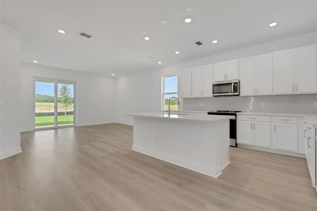 998 SWAMP CHESTNUT LOOP, Lady Lake, FL 32159