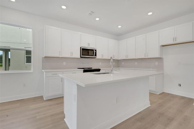 998 SWAMP CHESTNUT LOOP, Lady Lake, FL 32159