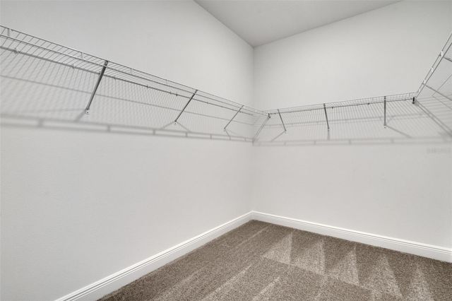 998 SWAMP CHESTNUT LOOP, Lady Lake, FL 32159