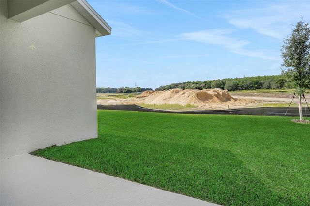 998 SWAMP CHESTNUT LOOP, Lady Lake, FL 32159