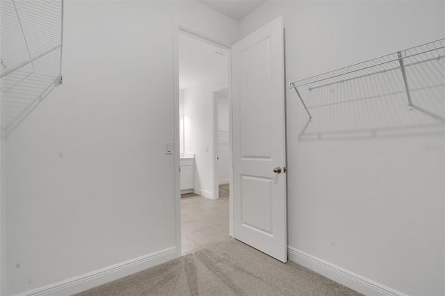 998 SWAMP CHESTNUT LOOP, Lady Lake, FL 32159