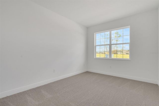 998 SWAMP CHESTNUT LOOP, Lady Lake, FL 32159