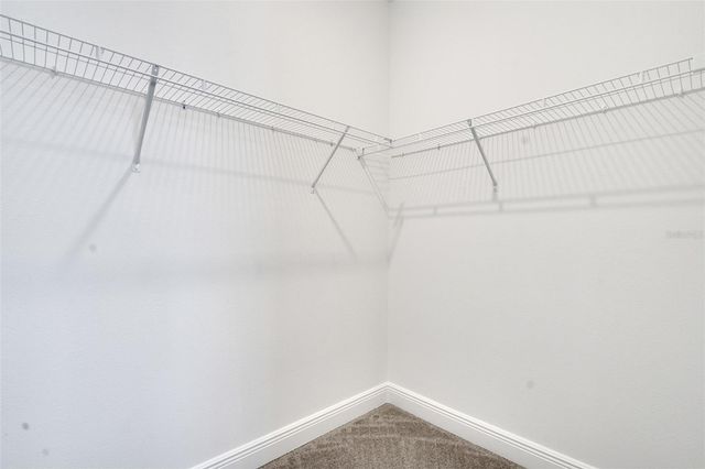 998 SWAMP CHESTNUT LOOP, Lady Lake, FL 32159