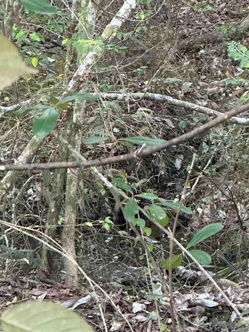 6540 Viewpoint Road, Eight Mile, AL 36613